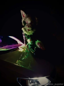 Just a murr doing murrsuiter things part 1