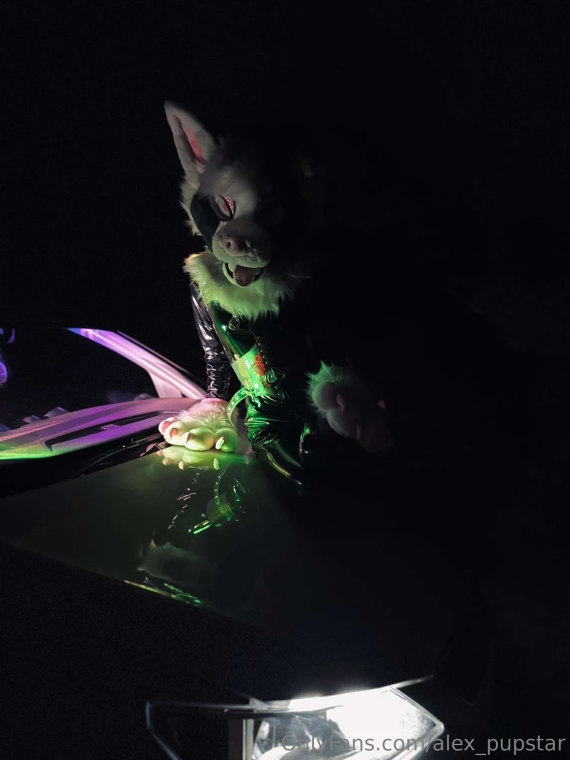 Just a murr doing murrsuiter things part 4 