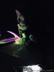 Just a murr doing murrsuiter things part 4