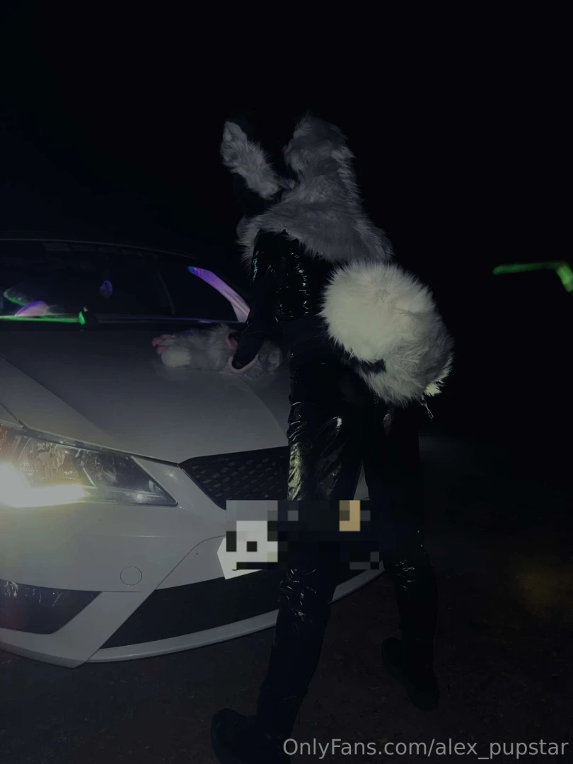 Just a murr doing murrsuiter things part 3 