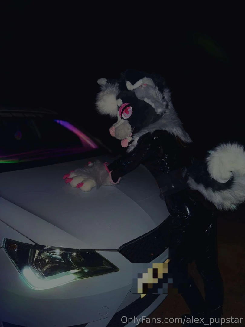 Just a murr doing murrsuiter things 