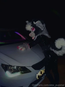Just a murr doing murrsuiter things