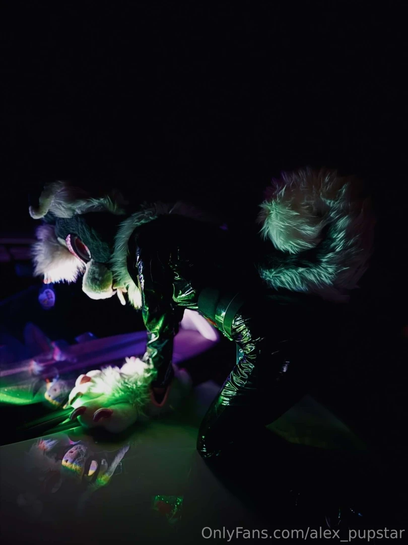 Just a murr doing murrsuiter things part 2 