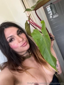 Red congo philodendron darlings part 1