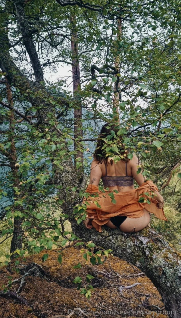 Guys something i ve been super excited to share is my forest 