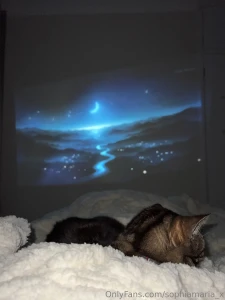 Alone with my cat hate being alone