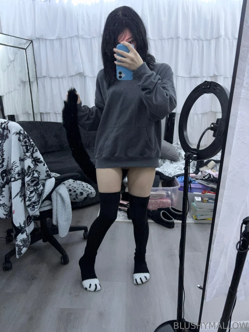 Kitty paws and kitty tail buttplug xd 