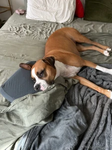 Life lately should i share more everyday photos here part 6