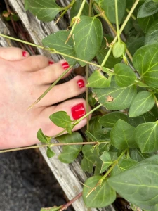 Pampered myself this morning who likes them enough to kiss them part 1