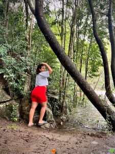 Renewed energy part 1