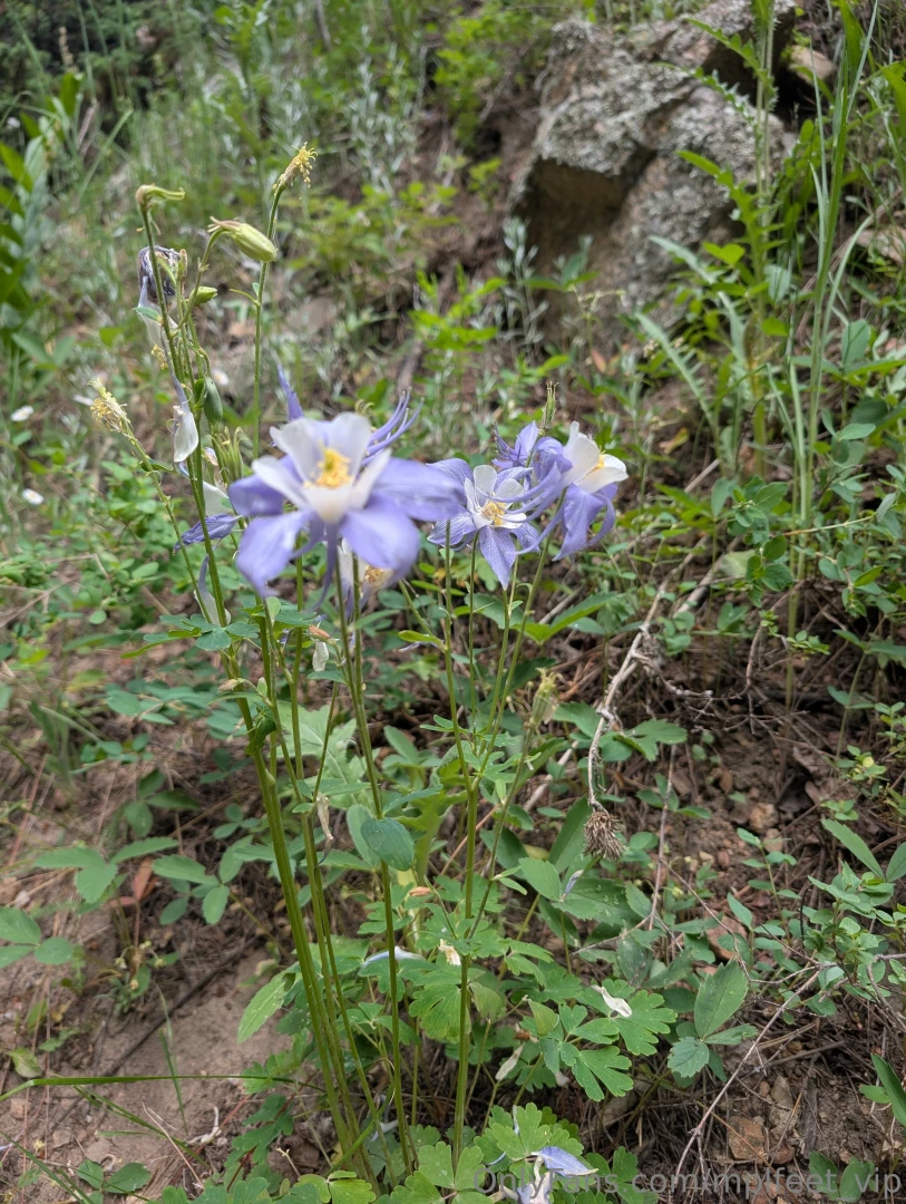 Went hiking the other day it was absolutely gorgeous outside did about part 6 