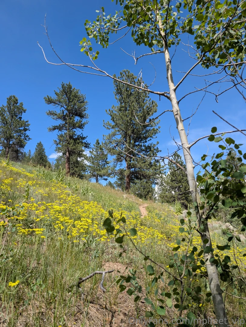 Went hiking the other day it was absolutely gorgeous outside did about part 2 