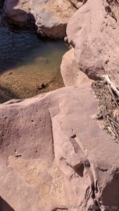 Happy leap day enjoy the sounds of nature on me