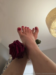 Who likes red part 14