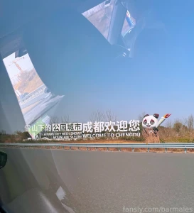 Chengdu china march 3 and 26 2025 a short preface it so happened that part 21