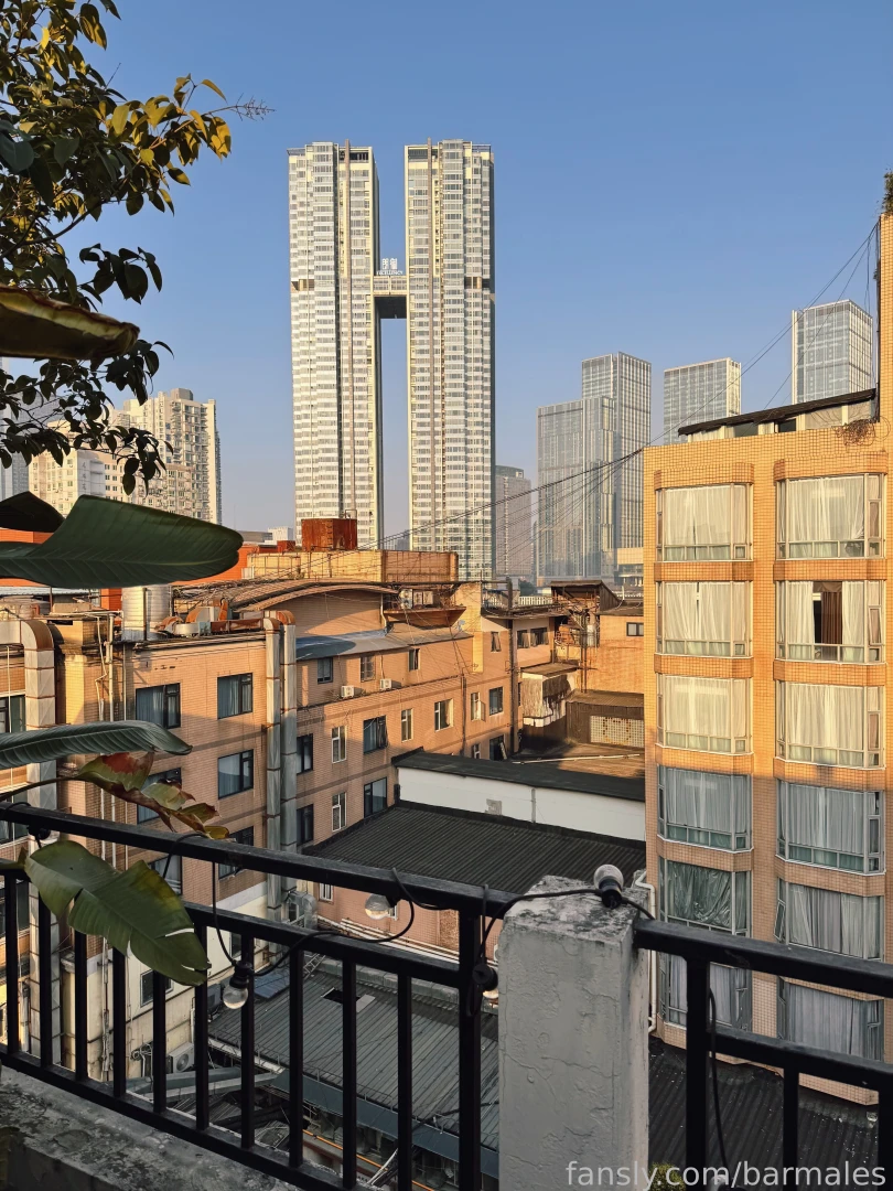 Chengdu china march 3 and 26 2025 a short preface it so happened that part 5 