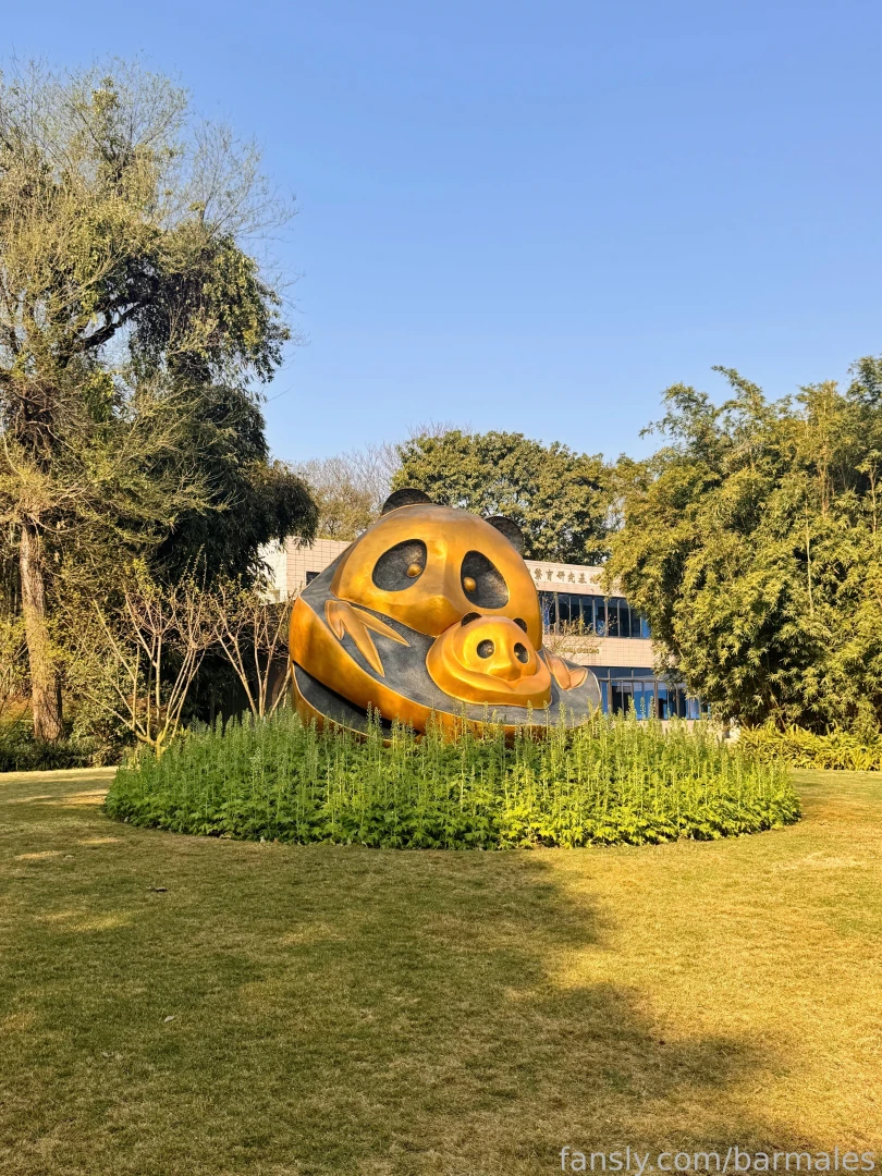 Chengdu china march 3 and 26 2025 a short preface it so happened that part 37 