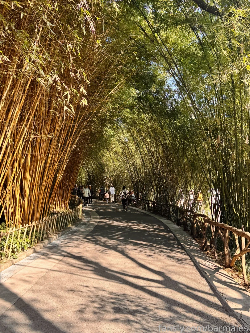 Chengdu china march 3 and 26 2025 a short preface it so happened that part 23 