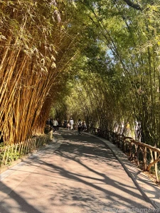 Chengdu china march 3 and 26 2025 a short preface it so happened that part 23