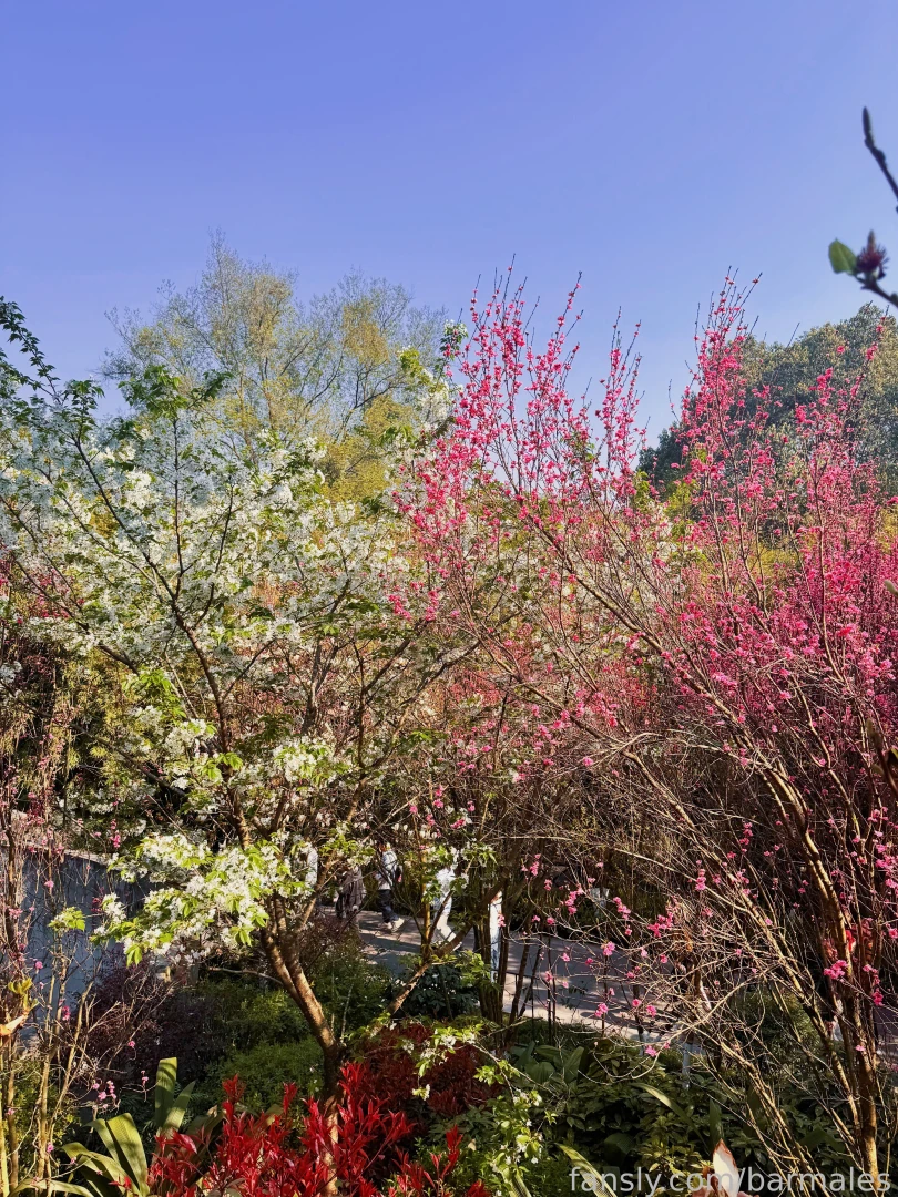 Chengdu china march 3 and 26 2025 a short preface it so happened that part 46 