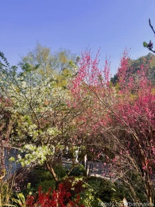 Chengdu china march 3 and 26 2025 a short preface it so happened that part 46