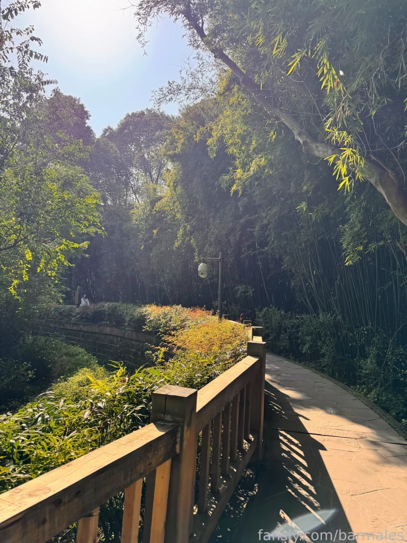 Chengdu china march 3 and 26 2025 a short preface it so happened that part 20 