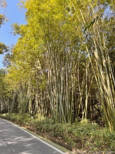 Chengdu china march 3 and 26 2025 a short preface it so happened that part 35