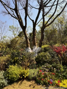 Chengdu china march 3 and 26 2025 a short preface it so happened that part 68