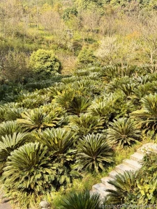 Chengdu china march 3 and 26 2025 a short preface it so happened that part 48