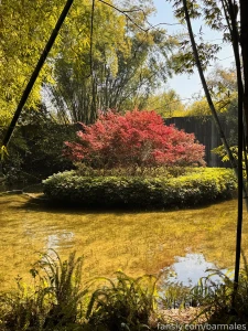 Chengdu china march 3 and 26 2025 a short preface it so happened that part 12