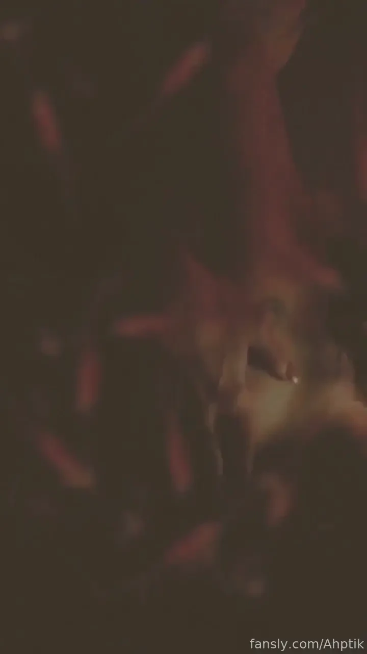 What exactly is happening here 