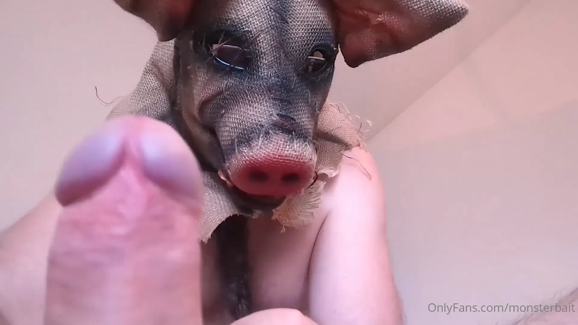 Toy pig fucks throats 2 of 2 toy pig gets on top to really pump that 