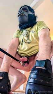 It s hard out there for a chimp set 1 of 2 5 shot monkey tier pack part 3