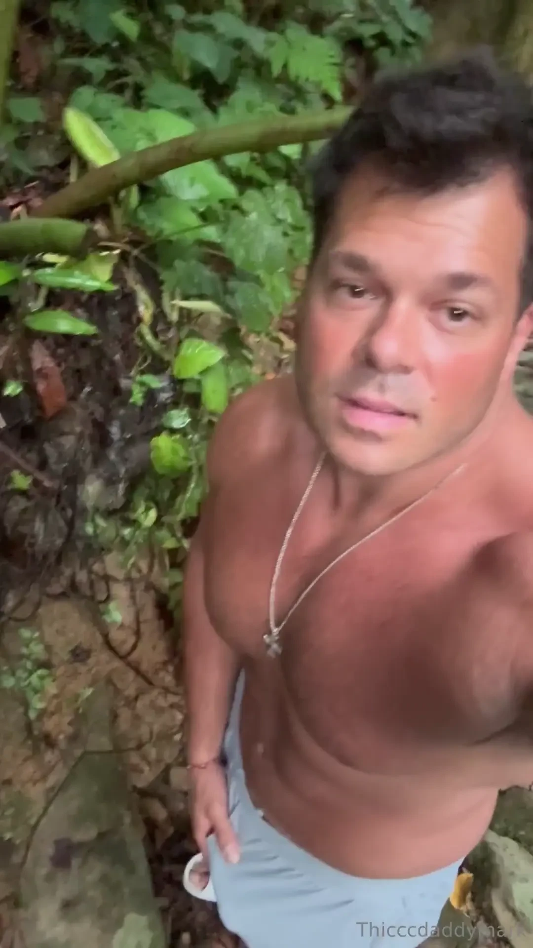 Morning from the jungle 