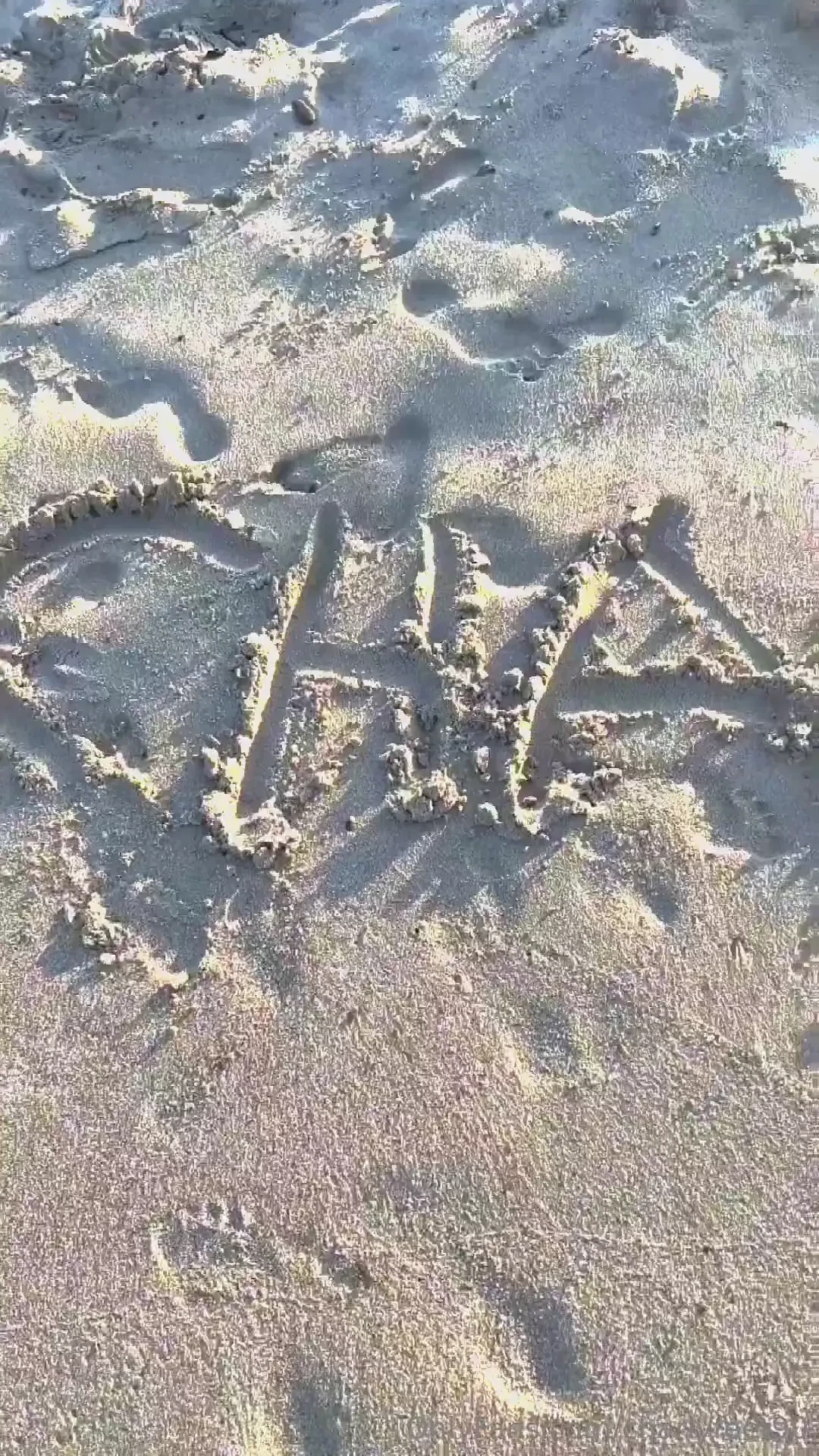 Call me charlotte but you can also call me charlie love sand sea 