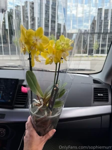 I haven t received flowers for a long time so i decided to treat