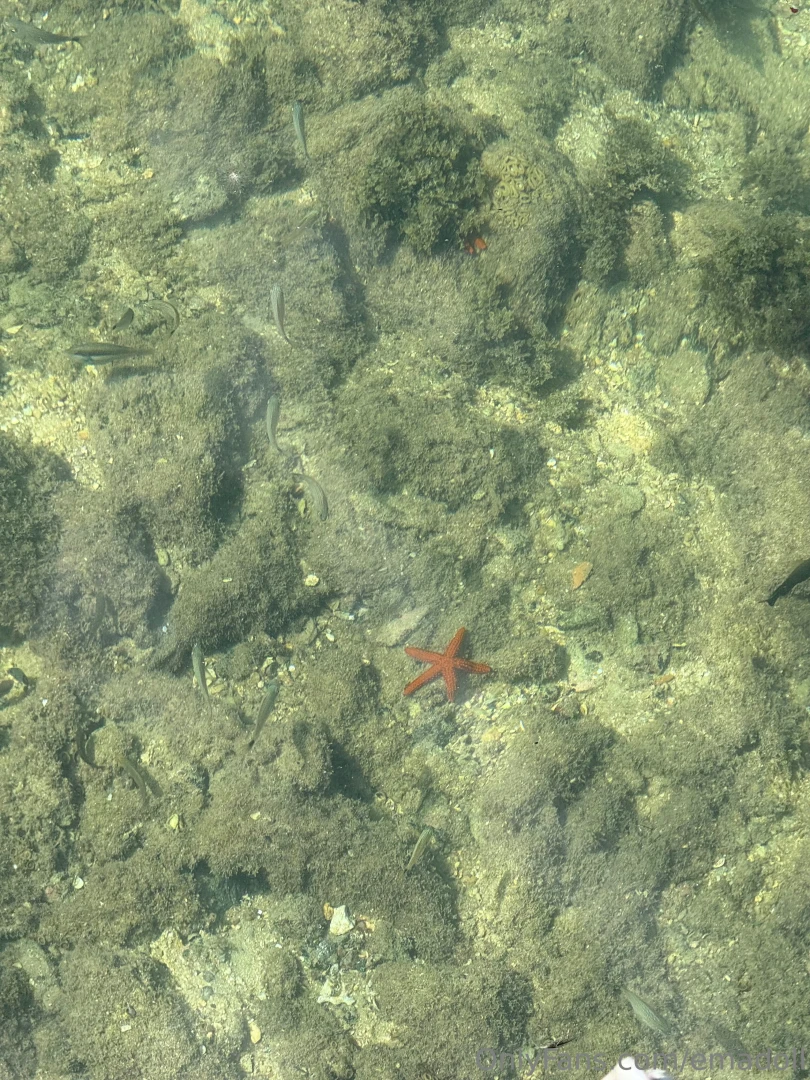 D a de buceo y part 4 