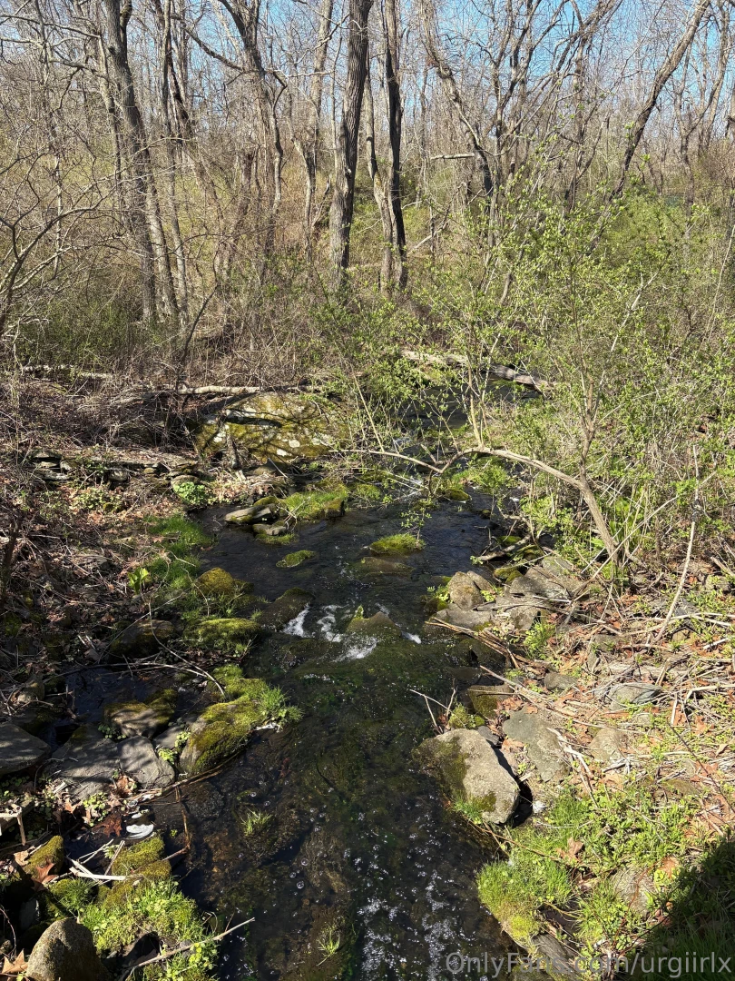 I love being slutty in the woods should i bring dick to fuck and suck part 1 