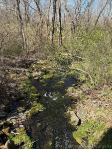 I love being slutty in the woods should i bring dick to fuck and suck part 1