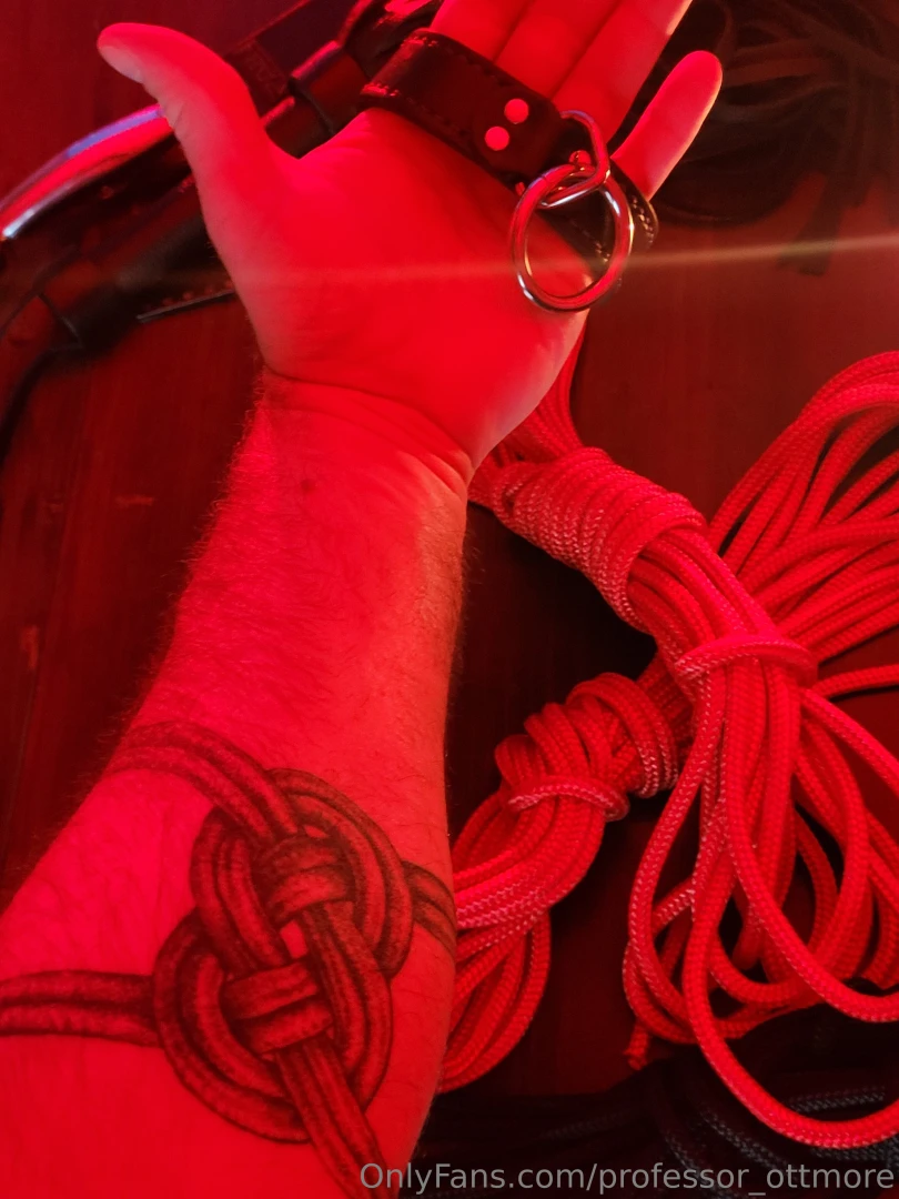 Let me reintroduce myself i m professor ottmore your dominant guide 