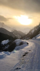 This is zelda she s mostly a bully breed mix with a splash of husky