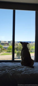 I m back i m so sorry to disappear for a while but i had to process