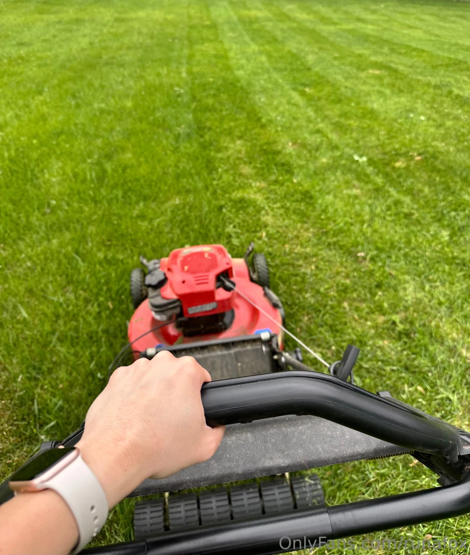 Chores with runa it s lawn mowing season take a guess in the comments 