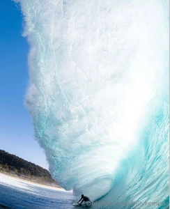 Finding shade in that afternoon sun