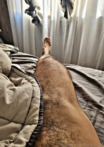 If you like hairy bodies you have to see this little wolf