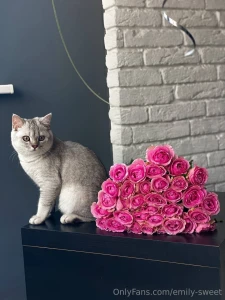 Pink roses for the warmest soul today is my favorite friend s birthday