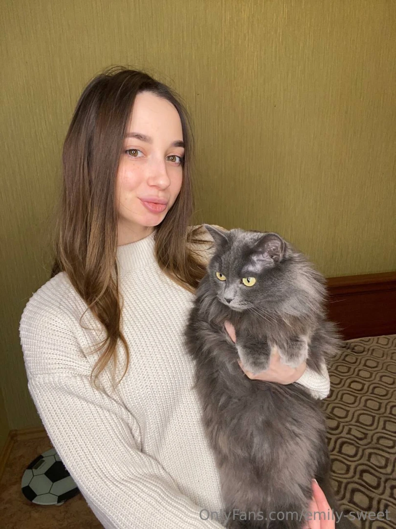 The two kitties in the photo part 1 