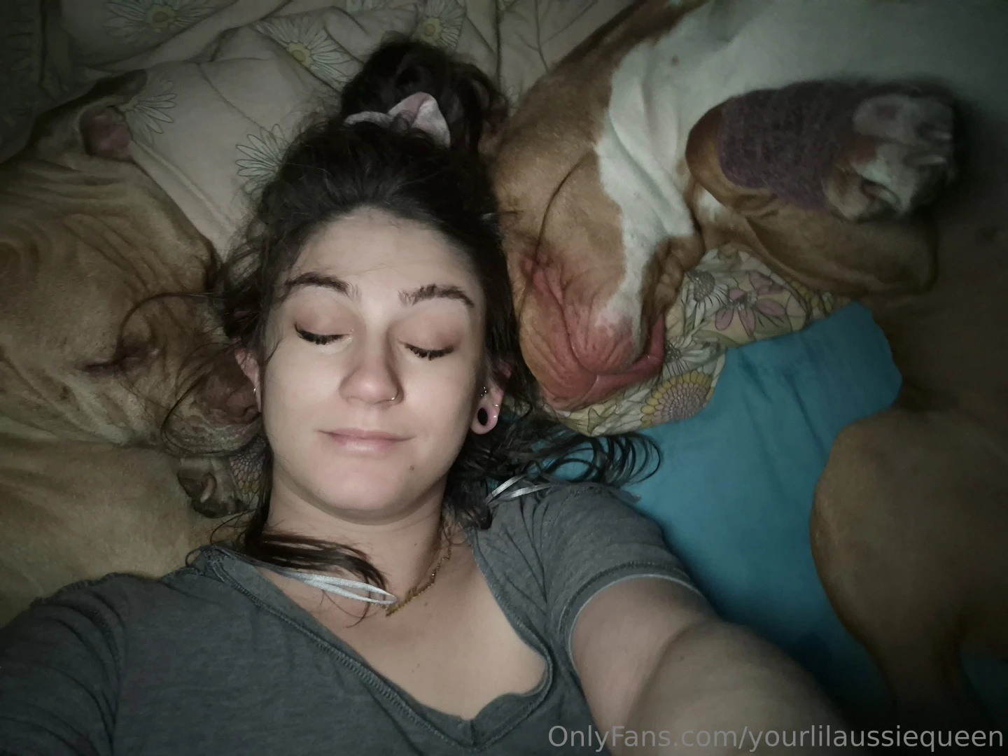 Can you tell my dogs missed me they love their mumma cuddles in bed 