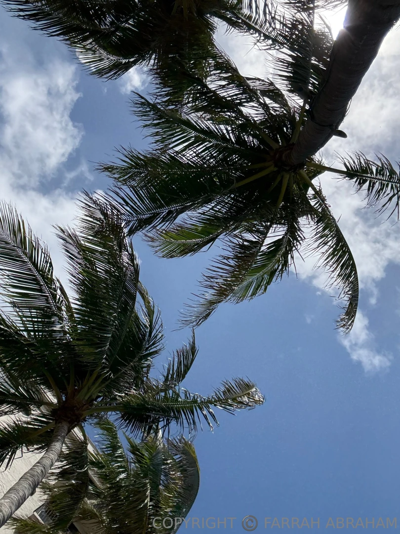 Wish you were here in palm beach with me epic food ocean views amp 