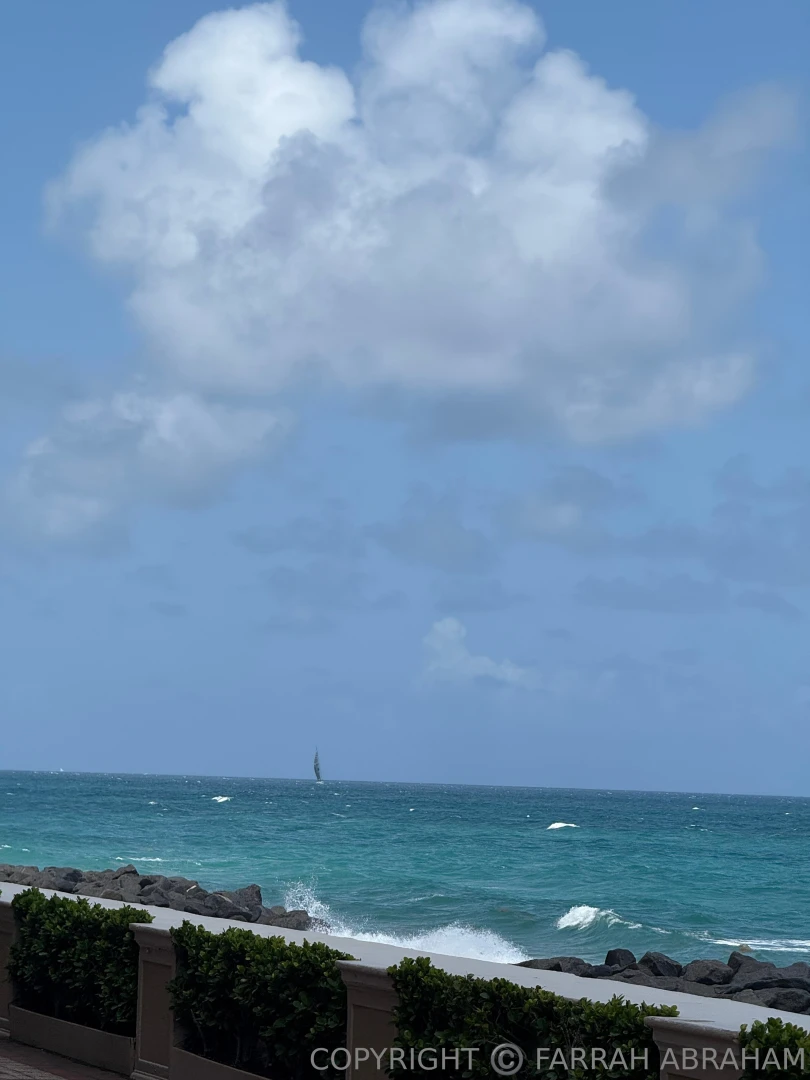 Wish you were here in palm beach with me epic food ocean views amp part 3 